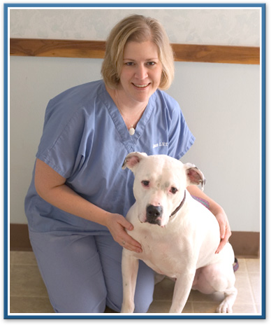 belleville/ann arbor veterinary clients