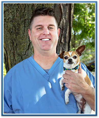 ypsilanti, belleville veterinarian